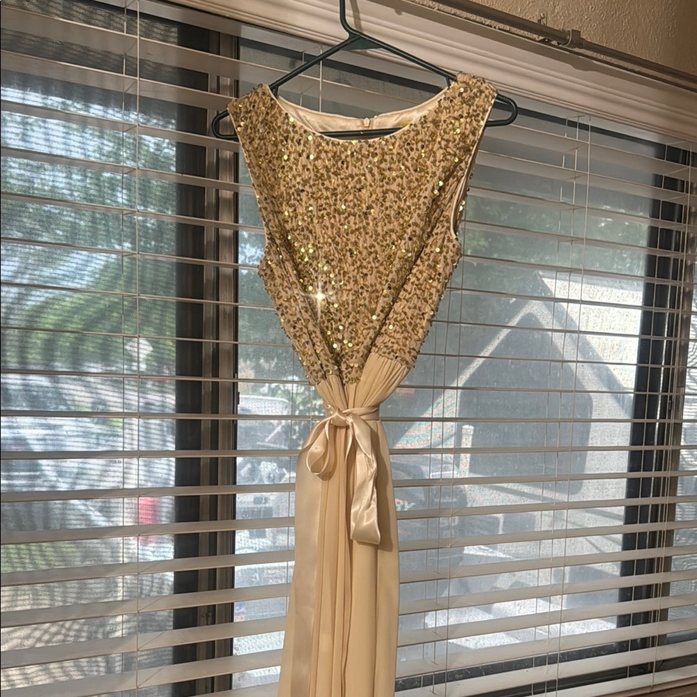 Amazon Gold Sequin Evening Gown with Satin Waist Tie